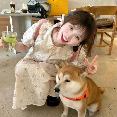 真爱骗子小娇妻